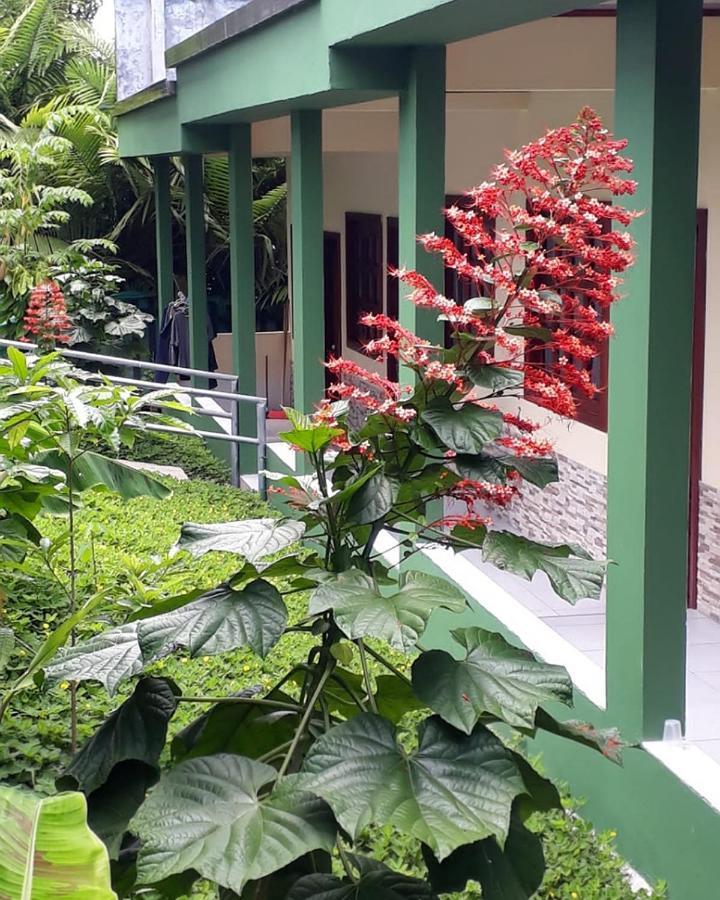Wikungo Hotel Puerto Nariño Exterior foto